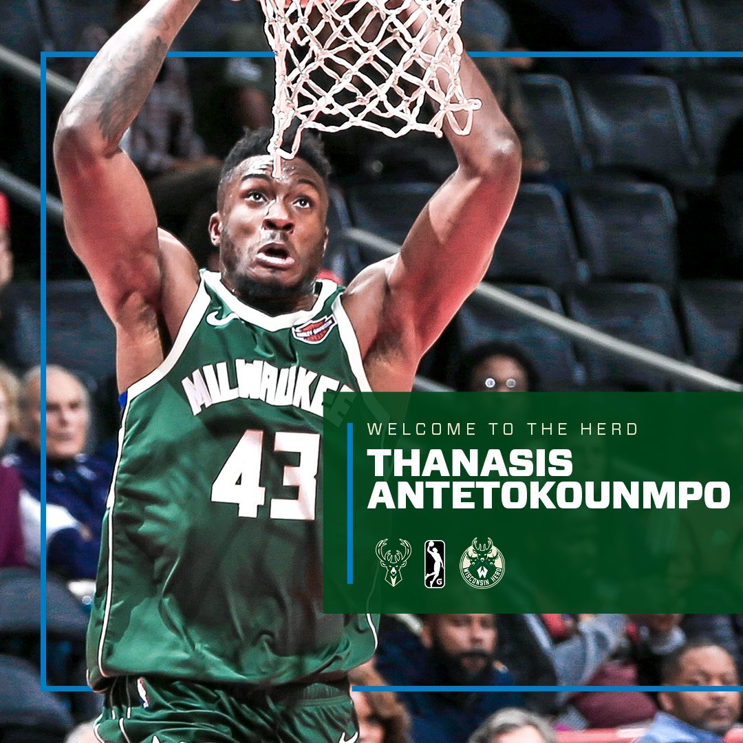 能引进新前 能引进新前